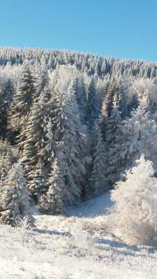 Villa Golija Vikendica Cesta Vrela Raška Exterior foto