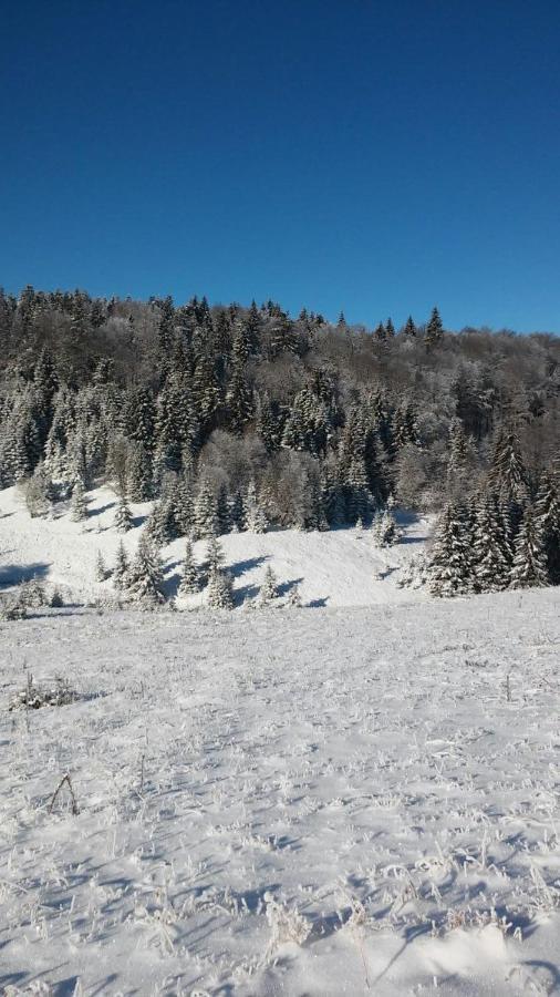 Villa Golija Vikendica Cesta Vrela Raška Exterior foto