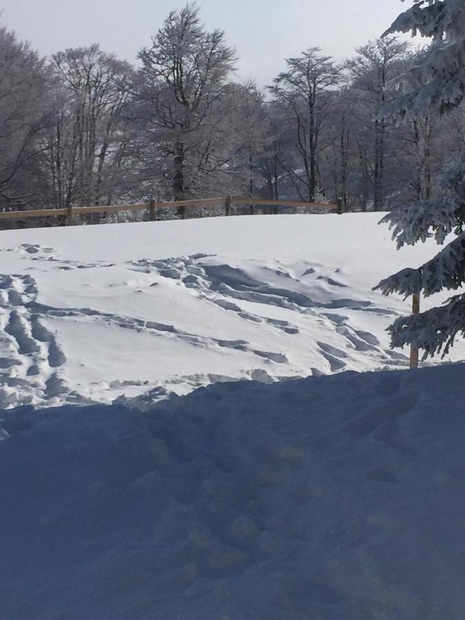 Villa Golija Vikendica Cesta Vrela Raška Exterior foto