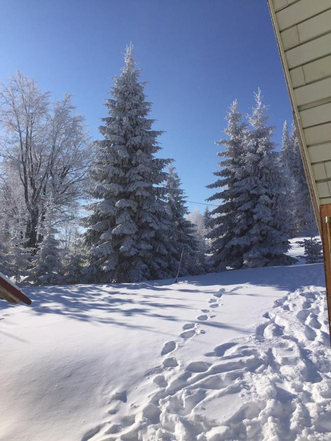 Villa Golija Vikendica Cesta Vrela Raška Exterior foto