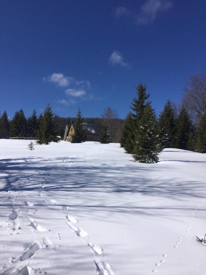 Villa Golija Vikendica Cesta Vrela Raška Exterior foto